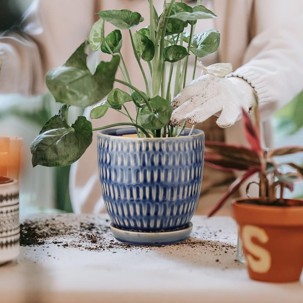 Plant pot with drainage holes and saucer helps avoid false wet readings on moisture meters