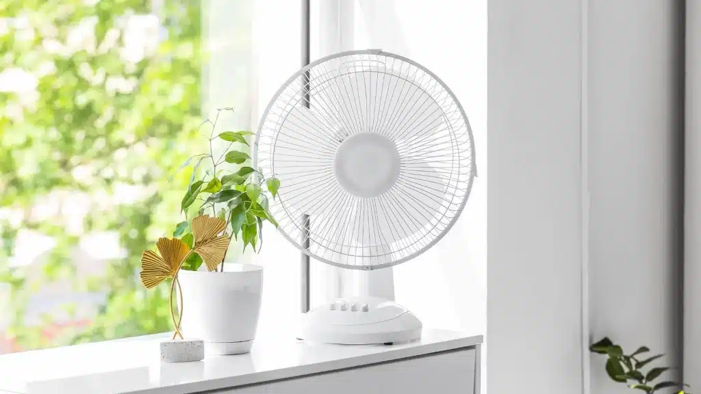 small fan improving air circulation around indoor houseplants