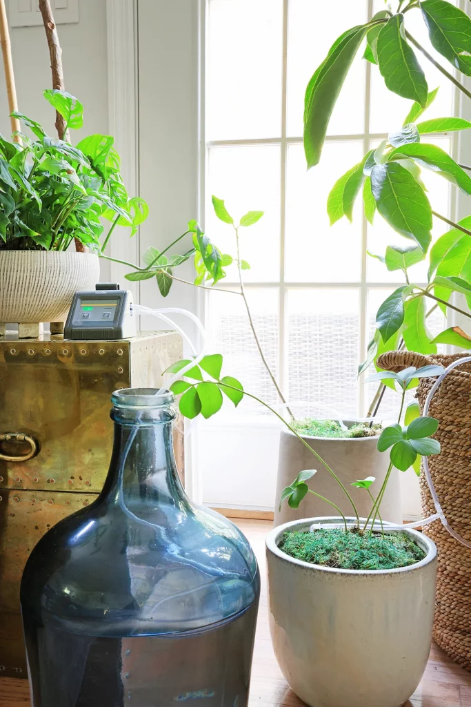 smart indoor plant watering system connected to multiple houseplants.