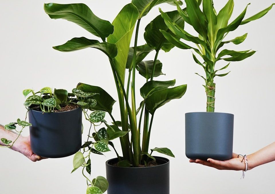 a group of people holding plants in their hands