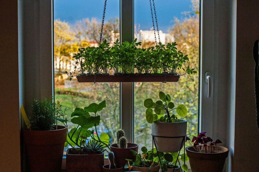 small indoor vegetable pots on a bright windowsill for space-saving growing